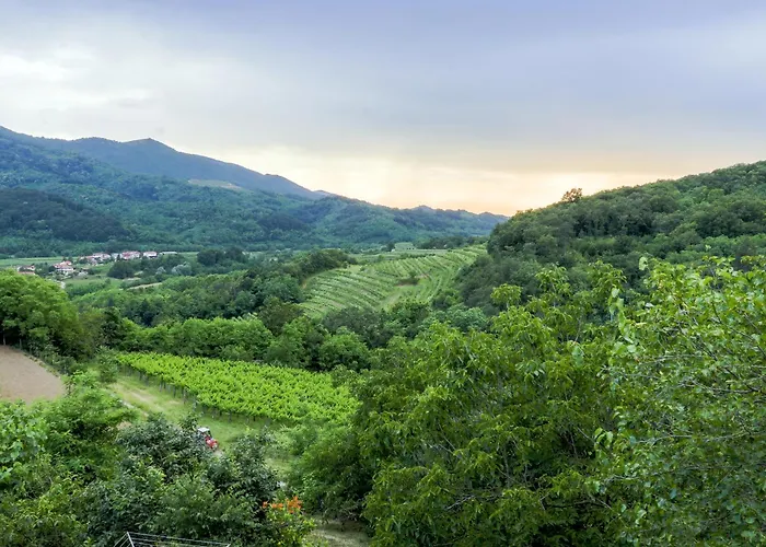 Sobe Andrejina Oda ve Kahvaltı 3*